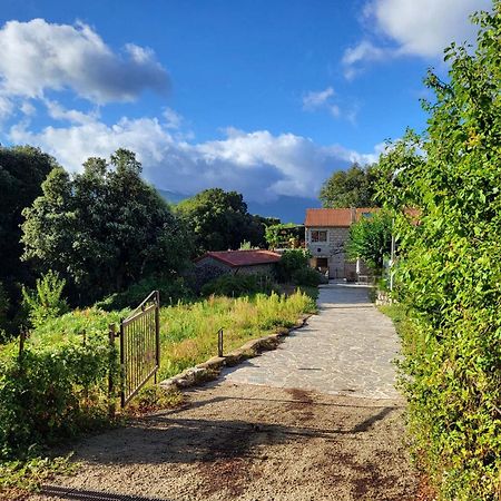 Chez Paulette - meublé de tourisme classé 3 étoiles Zonza Esterno foto