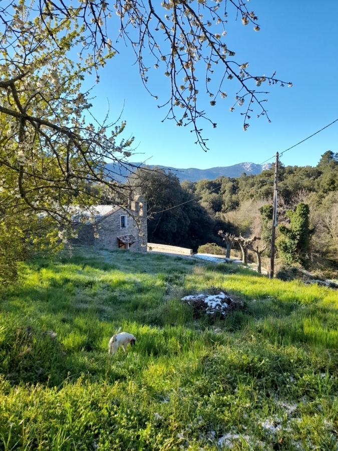 Chez Paulette - meublé de tourisme classé 3 étoiles Zonza Esterno foto