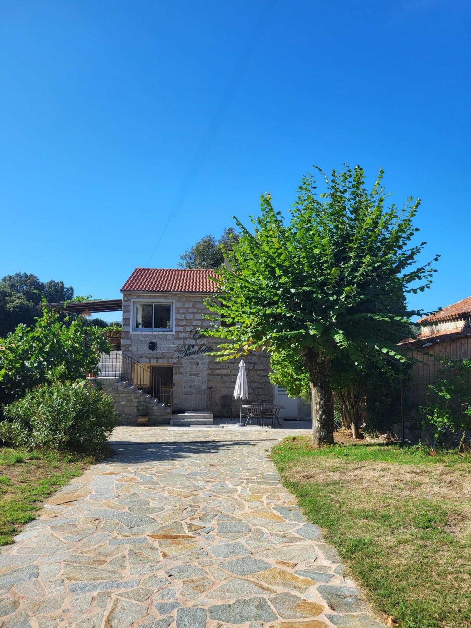 Chez Paulette - meublé de tourisme classé 3 étoiles Zonza Esterno foto