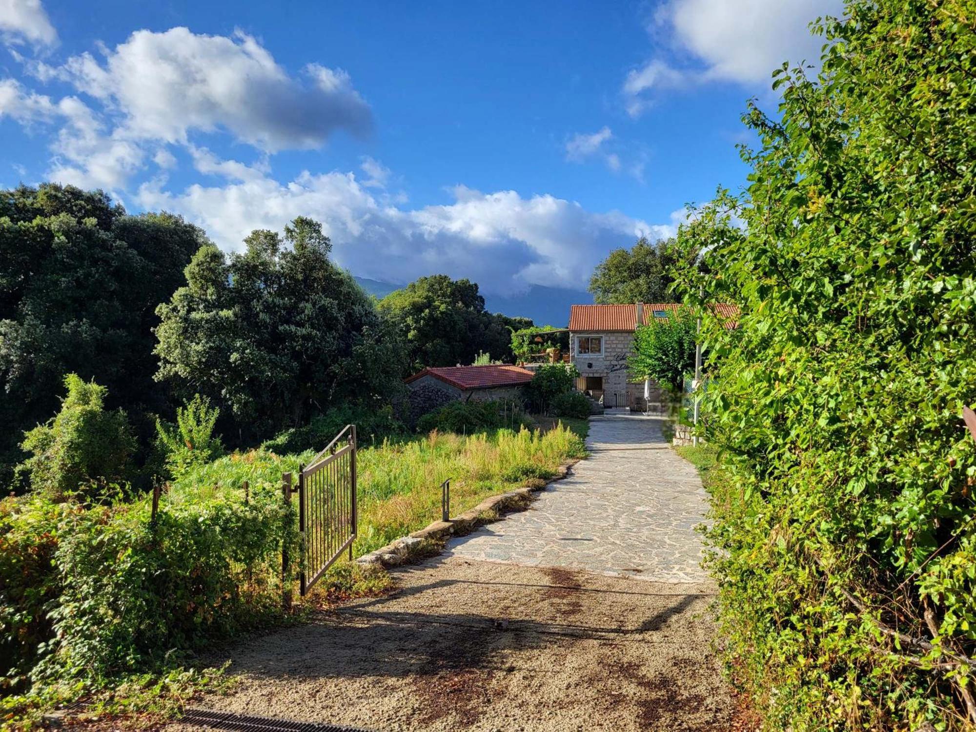 Chez Paulette - meublé de tourisme classé 3 étoiles Zonza Esterno foto