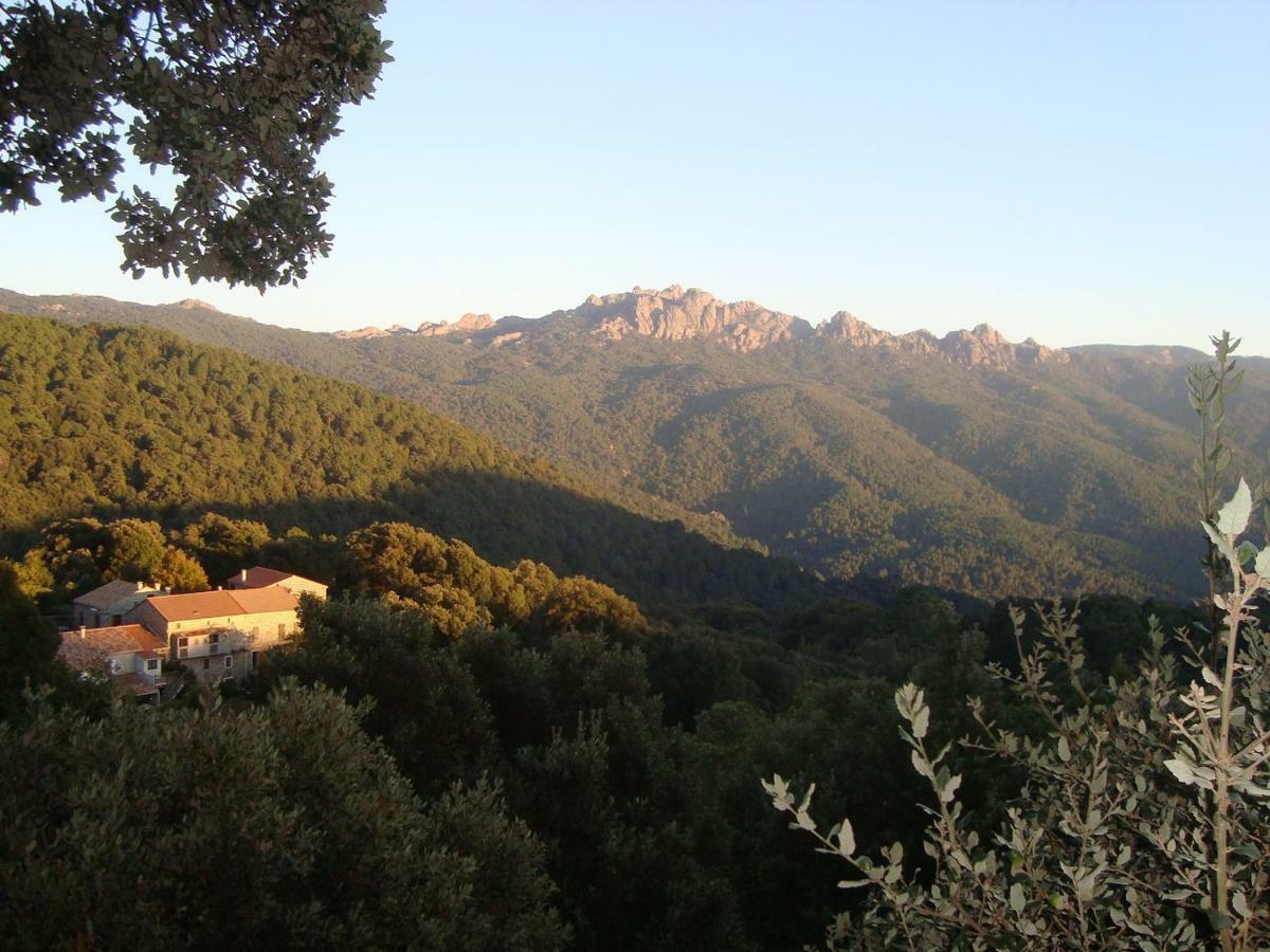 Chez Paulette - meublé de tourisme classé 3 étoiles Zonza Esterno foto